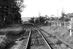 Cranleigh Station looking West - early 1960's
