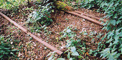 Peasmarsh Junction disgarded rails