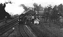 Peasmarsh Junction in the early 1900's - looking North