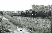 Bullied Q1 class 0-6-0 33006 with a special farewell train.